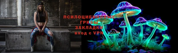 тгк Михайловск