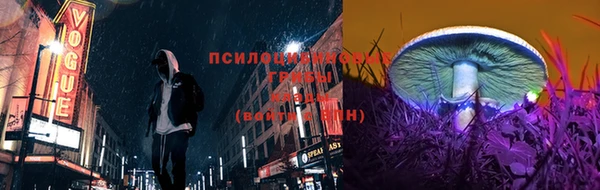 гидропоника Мегион