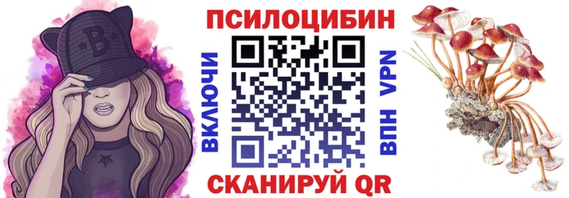 Купить закладки  Новоржев  Псилоцибиновые грибы мицелий 